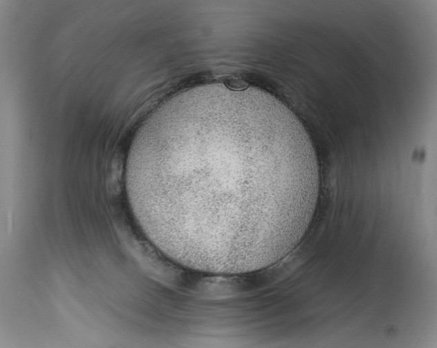 X0000114600082200911161405