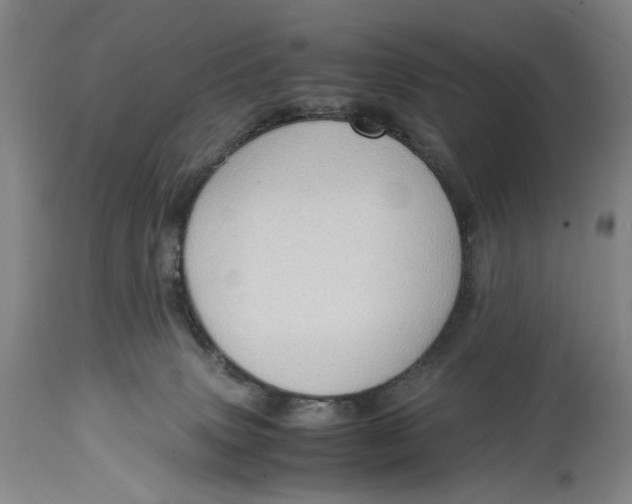 X0000114600083200911161405