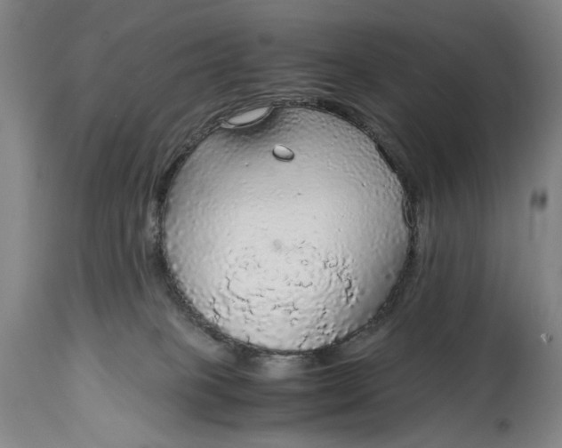 X0000114600085200911161405