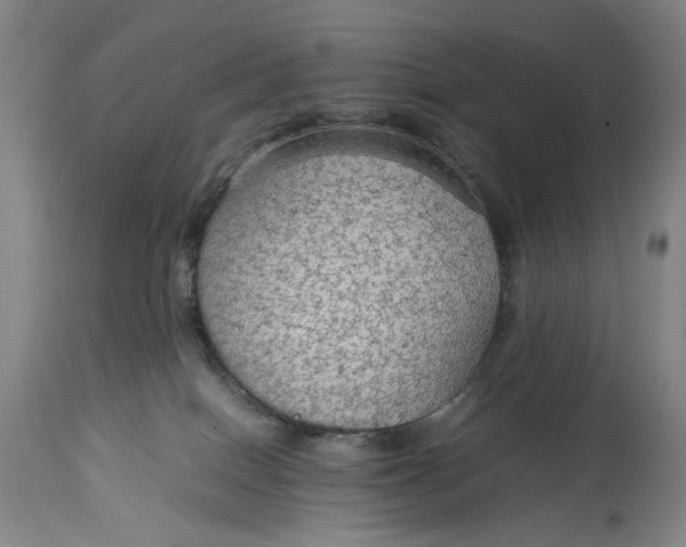 X0000114600086200911161405