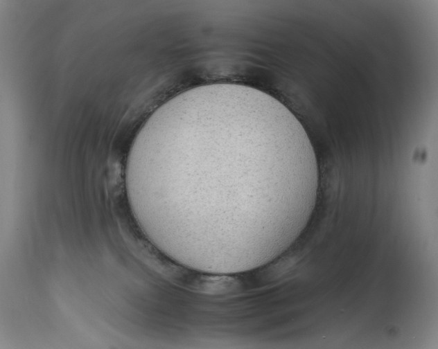 X0000114600087200911161405