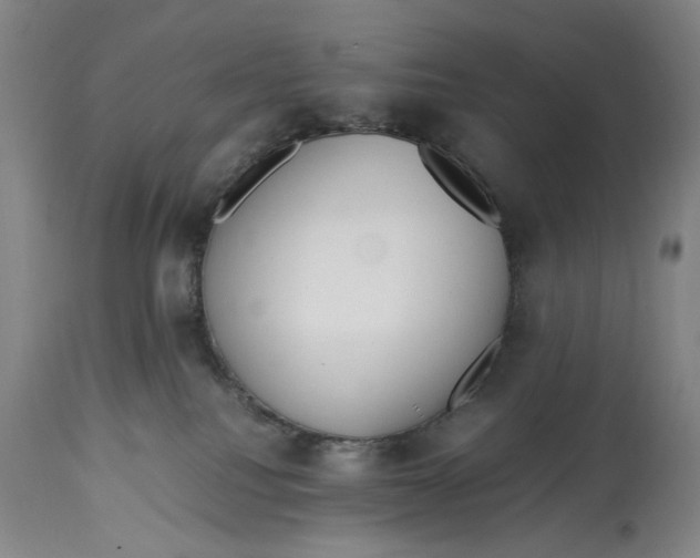 X0000114600088200911161405