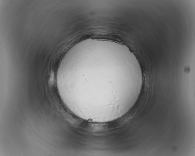 X0000114600089200911161405