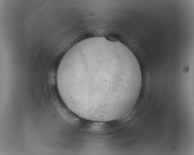 X0000114600090200911161405