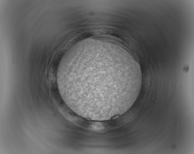 X0000114600091200911161405