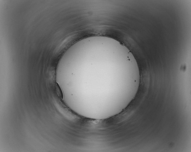 X0000114600092200911161405