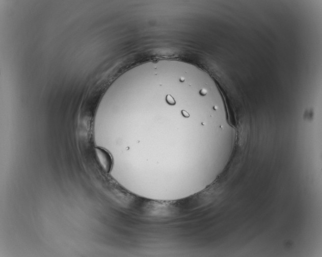 X0000114600093200911161405