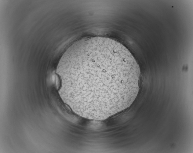 X0000114600095200911161405