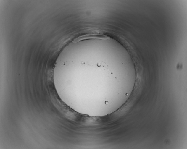 X0000114600096200911161405