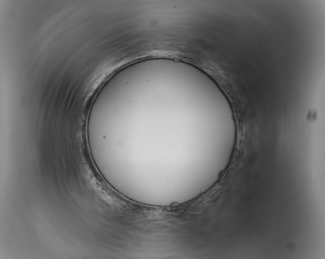 X0000114600098200911161404