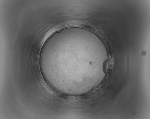 X0000114600099200911161404