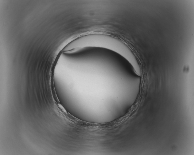 X0000114600100200911161404