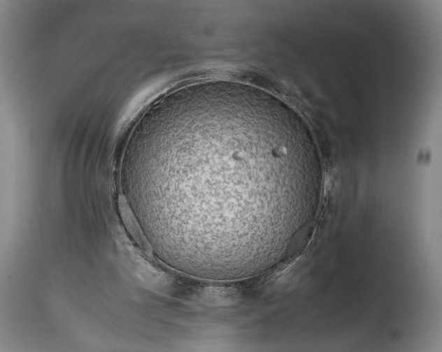 X0000114600101200911161404