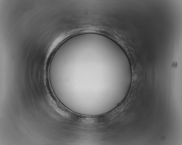 X0000114600102200911161404