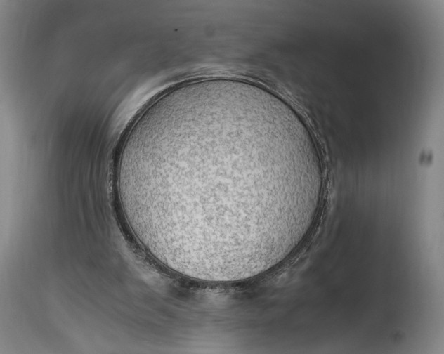 X0000114600103200911161404