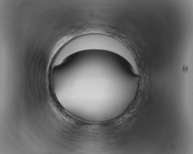 X0000114600104200911161404