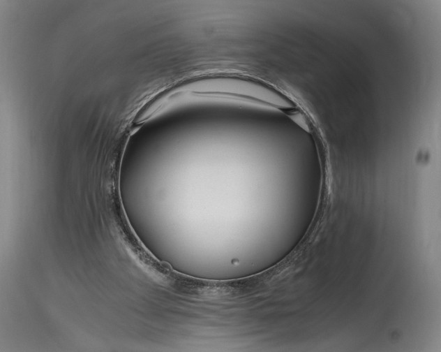 X0000114600105200911161404