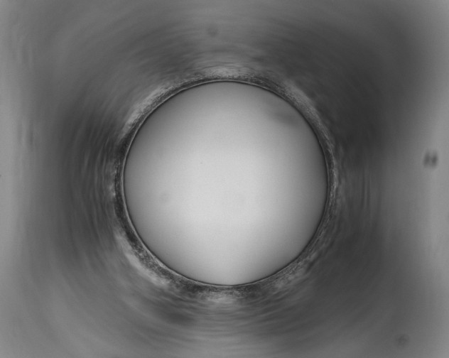 X0000114600106200911161404