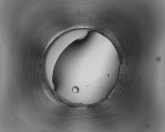 X0000114600108200911161404