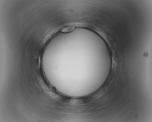 X0000114600109200911161404