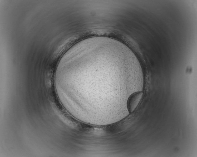 X0000114600114200911161404