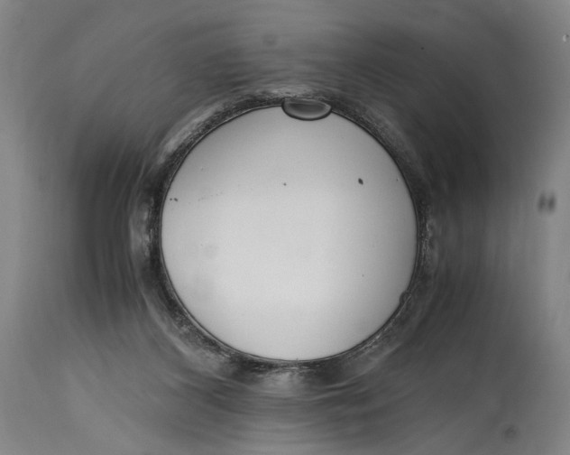 X0000114600116200911161404