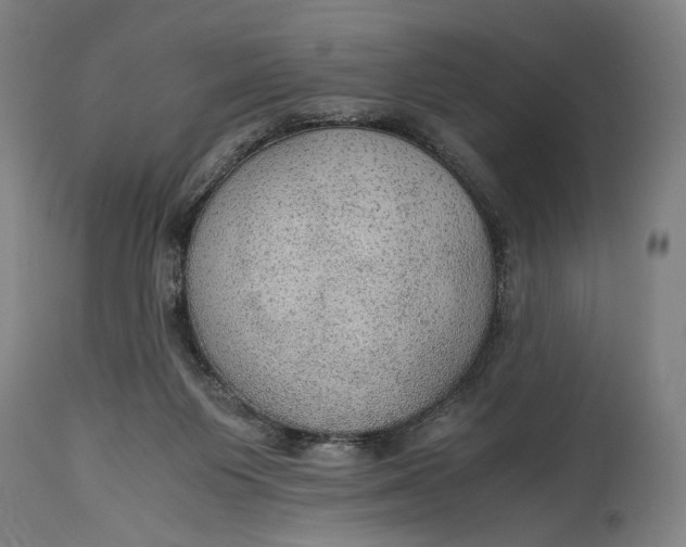 X0000114600119200911161404