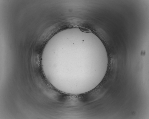 X0000114600121200911161404