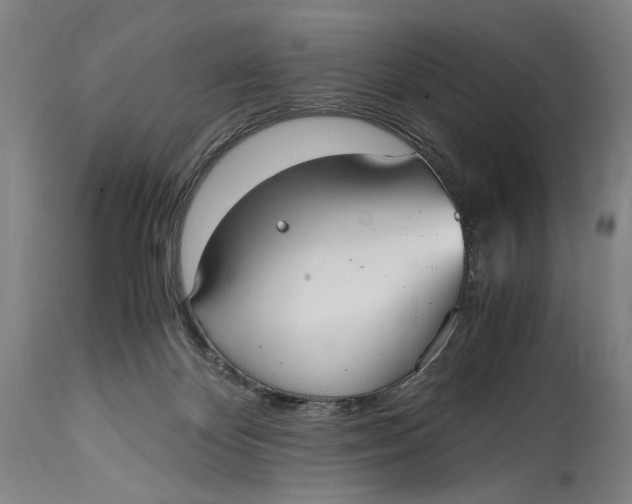 X0000114600124200911161404