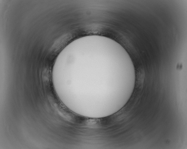 X0000114600126200911161404