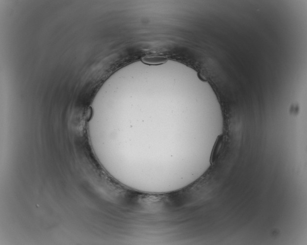 X0000114600129200911161404