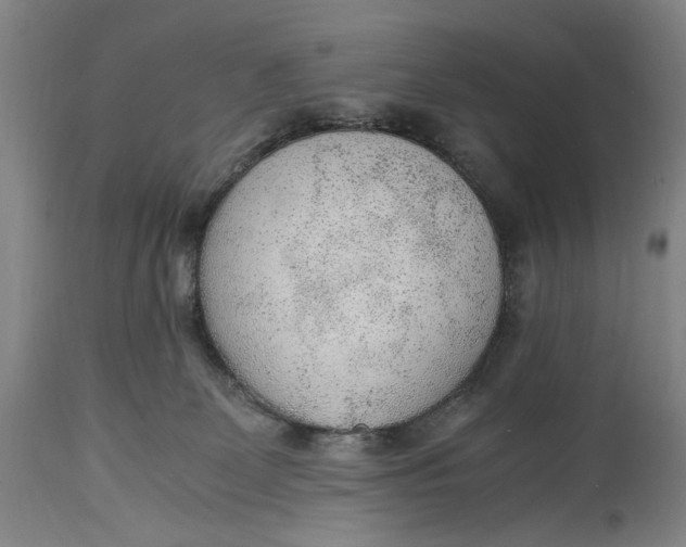 X0000114600131200911161404