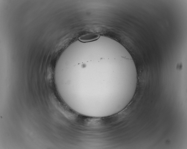 X0000114600132200911161404