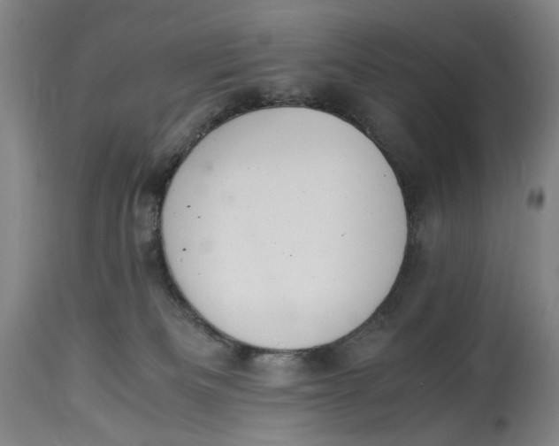 X0000114600133200911161404