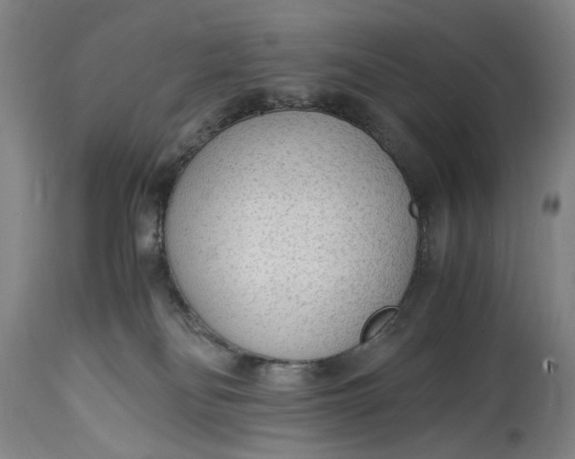 X0000114600134200911161404