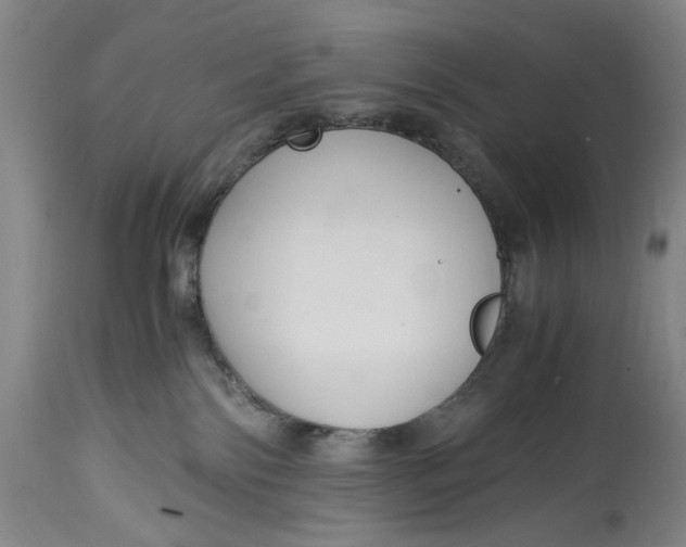 X0000114600138200911161403