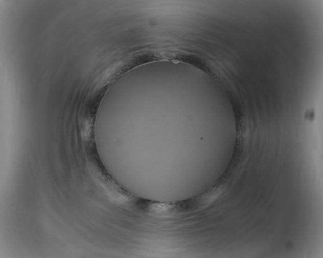 X0000114600139200911161403