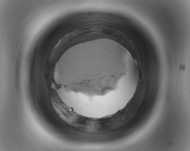 X0000114600143200911161403