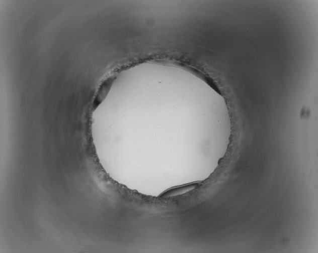 X0000114600144200911161403