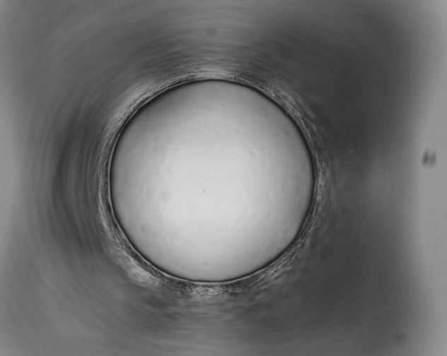 X0000114600145200911161403