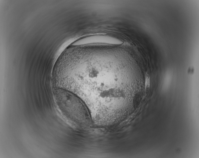 X0000114600147200911161403