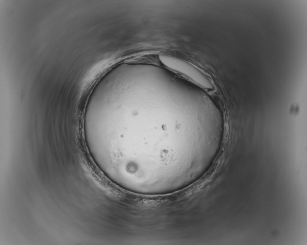 X0000114600149200911161403