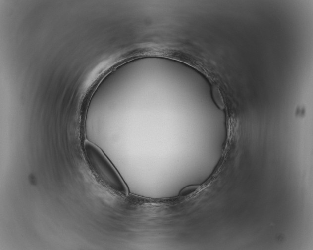 X0000114600150200911161403