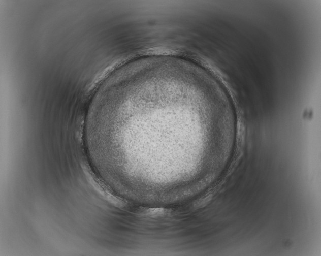 X0000114600153200911161403