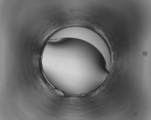 X0000114600154200911161403