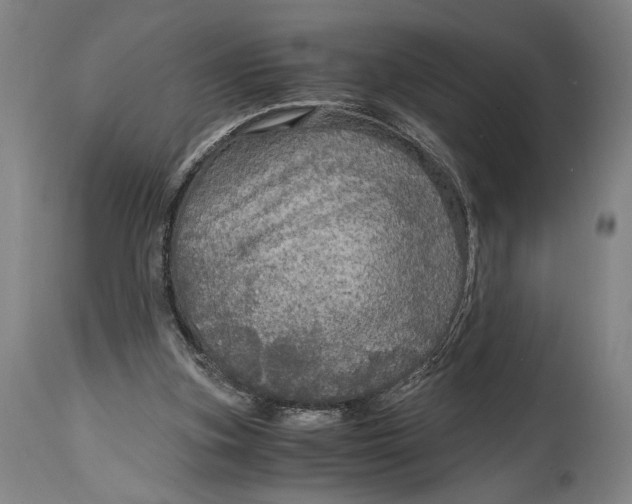 X0000114600155200911161403