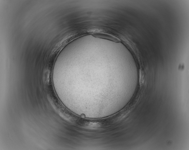 X0000114600157200911161403