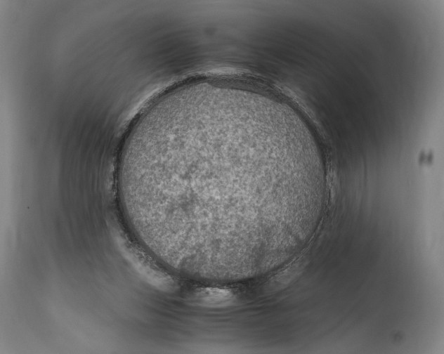 X0000114600159200911161403