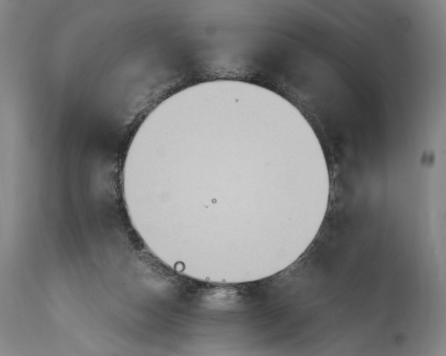 X0000114600162200911161403