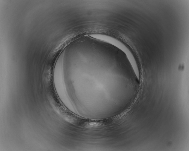 X0000114600163200911161403